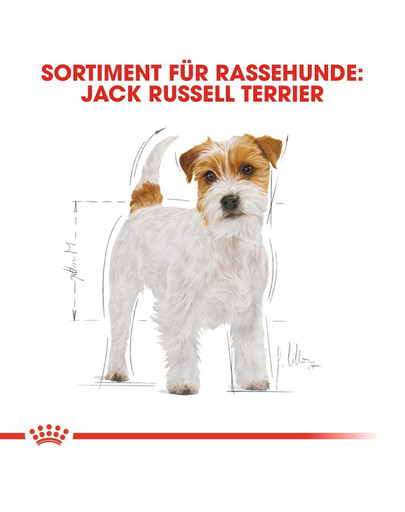 ROYAL CANIN Jack Russell Terrier Adult Hundefutter trocken 1,5 kg