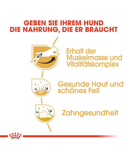 ROYAL CANIN Jack Russell Terrier Adult Hundefutter trocken 1,5 kg