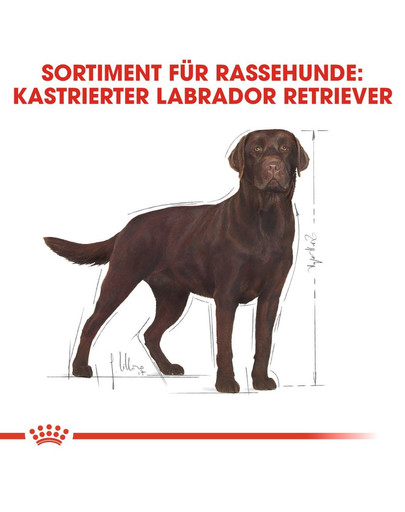 ROYAL CANIN Labrador Retriever Adult Sterilised Trockenfutter für kastrierte Hunde 12 kg