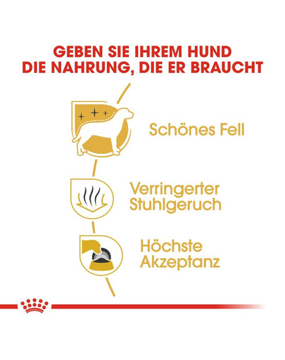 ROYAL CANIN Maltese Adult Hundefutter trocken 500 g