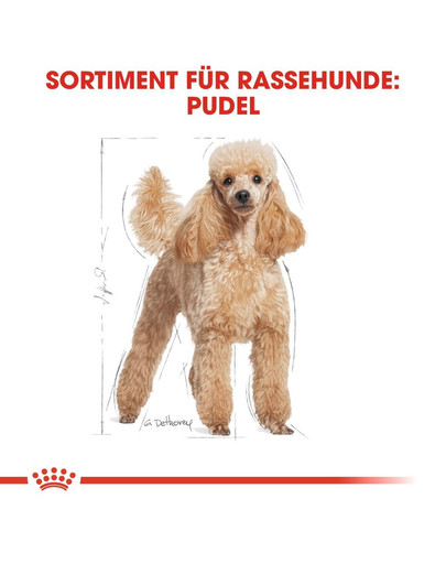 ROYAL CANIN Poodle Adult Hundefutter trocken für Pudel 1,5 kg