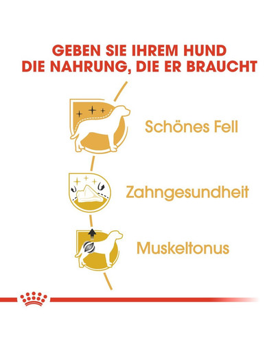 ROYAL CANIN Poodle Adult Hundefutter trocken für Pudel 1,5 kg