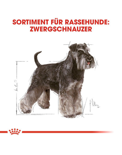 ROYAL CANIN Miniature Schnauzer Adult Hundefutter trocken für Zwergschnauzer 7.5 kg