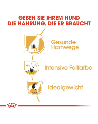 ROYAL CANIN Miniature Schnauzer Adult Hundefutter trocken für Zwergschnauzer 7.5 kg