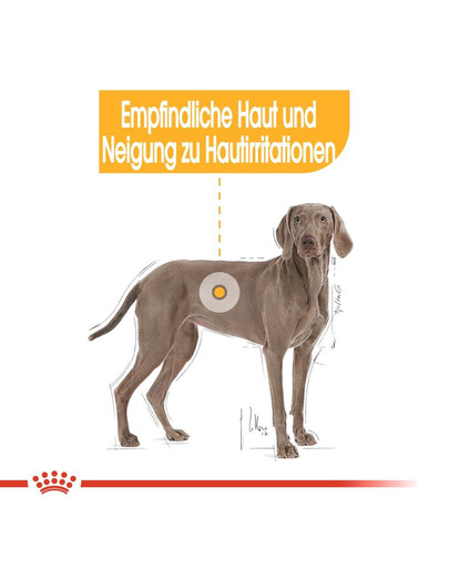 ROYAL CANIN MAXI Dermacomfort Trockenfutter für große Hunde mit empfindlicher Haut 12 kg