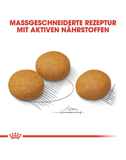 ROYAL CANIN MAXI Dermacomfort Trockenfutter für große Hunde mit empfindlicher Haut 12 kg