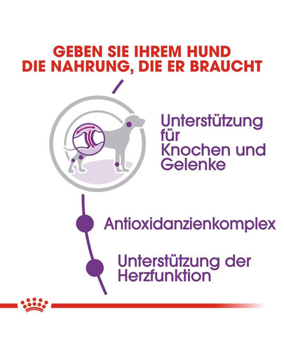 ROYAL CANIN GIANT Adult Trockenfutter für sehr große Hunde 15 kg