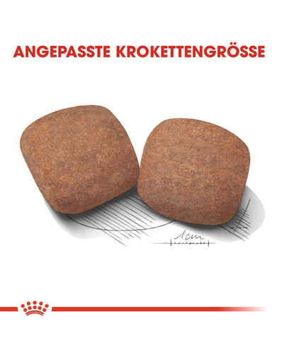 ROYAL CANIN GIANT Adult Trockenfutter für sehr große Hunde 15 kg