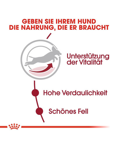 ROYAL CANIN MEDIUM Adult 7+ Trockenfutter für ältere mittelgroße Hunde 15 kg