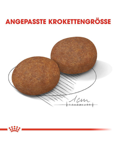 ROYAL CANIN MEDIUM Adult 7+ Trockenfutter für ältere mittelgroße Hunde 15 kg