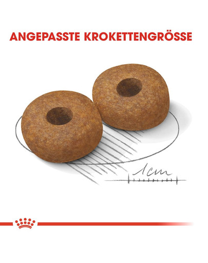 ROYAL CANIN MEDIUM Ageing 10+ Trockenfutter für ausgewachsene Hunde, mittlere Rassen 15 kg