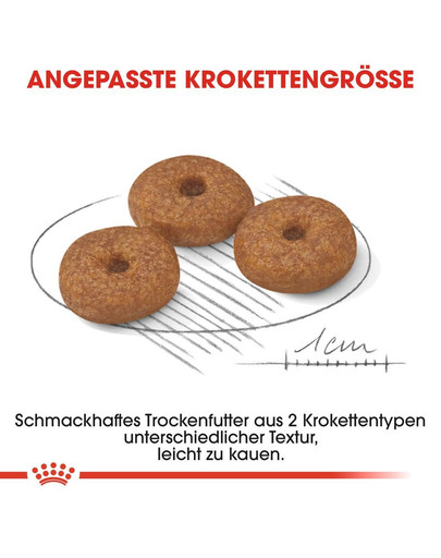 ROYAL CANIN MINI Ageing 12+ Trockenfutter für ausgewachsene Hunde, kleine Rassen 1,5 kg