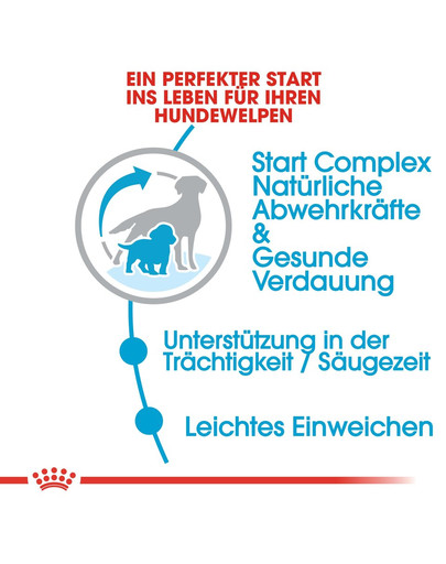 ROYAL CANIN MEDIUM Starter für tragende Hündin und Welpen 4 kg