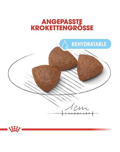 ROYAL CANIN MEDIUM Starter für tragende Hündin und Welpen 4 kg