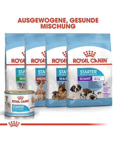 ROYAL CANIN MEDIUM Starter für tragende Hündin und Welpen 4 kg