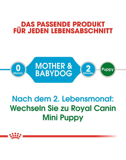 ROYAL CANIN MINI Starter für tragende Hündin und Welpen 1 kg
