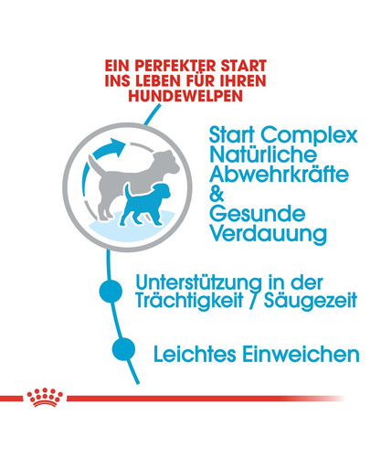 ROYAL CANIN MINI Starter für tragende Hündin und Welpen 1 kg
