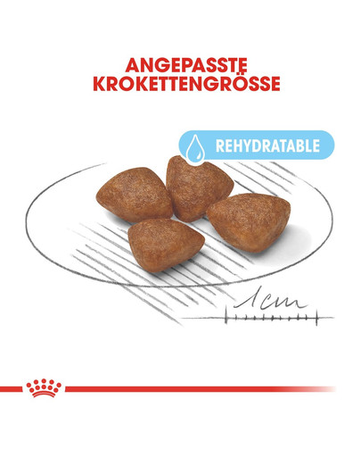 ROYAL CANIN MINI Starter für tragende Hündin und Welpen 1 kg