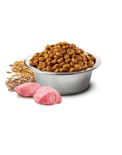 FARMINA N&D Low Ancestral Grain Chicken & Pomegranate Adult Cat 300 g