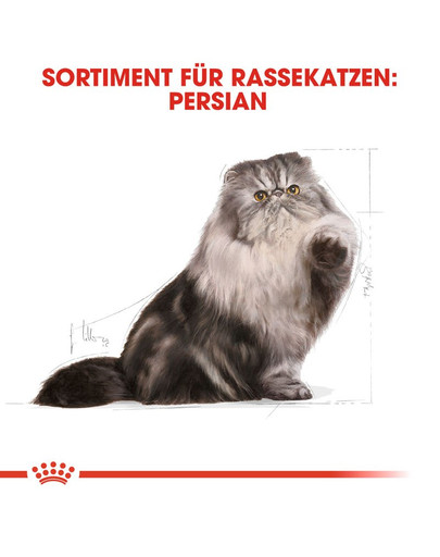 ROYAL CANIN Persian Adult Trockenfutter für Perser-Katzen 10 kg