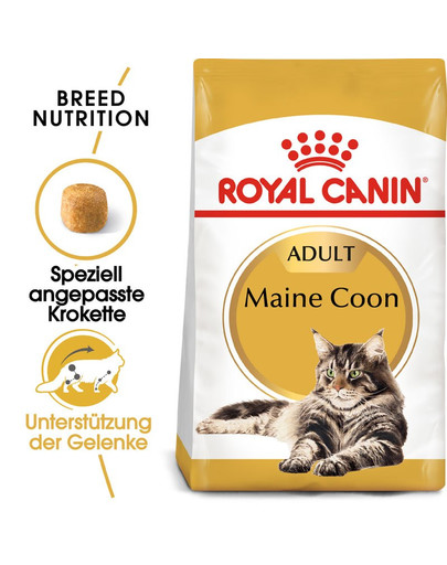 ROYAL CANIN Maine Coon Adult Katzenfutter trocken 2 kg