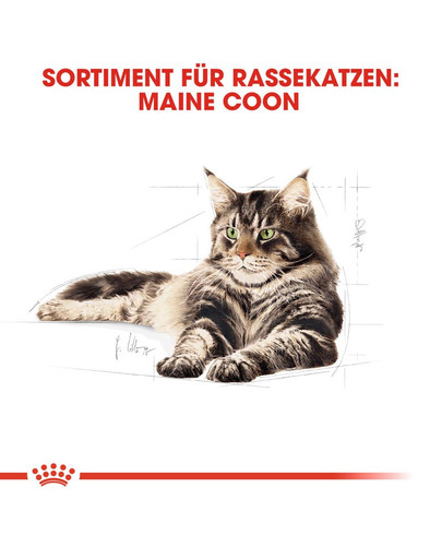 ROYAL CANIN Maine Coon Adult Katzenfutter trocken 2 kg