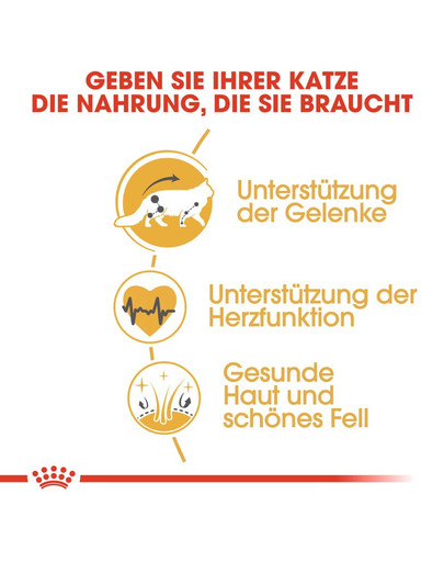 ROYAL CANIN Maine Coon Adult Katzenfutter trocken 400 g