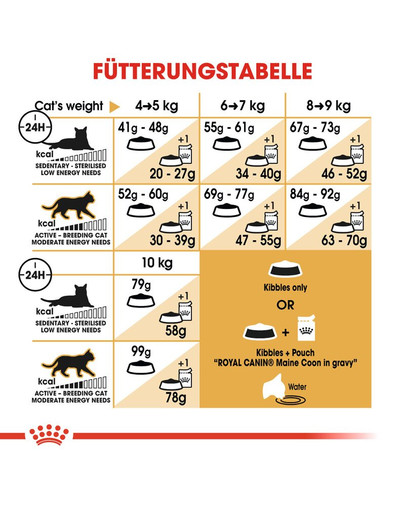 ROYAL CANIN Maine Coon Adult Katzenfutter trocken 4 kg