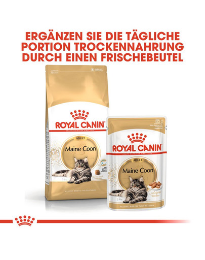 ROYAL CANIN Maine Coon Adult Katzenfutter trocken 4 kg