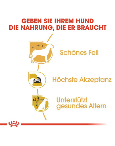 ROYAL CANIN Yorkshire Terrier Adult Hundefutter trocken 1,5 kg