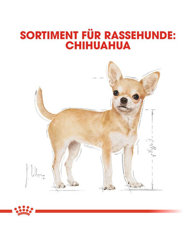 ROYAL CANIN Chihuahua Adult Hundefutter trocken 1,5 kg