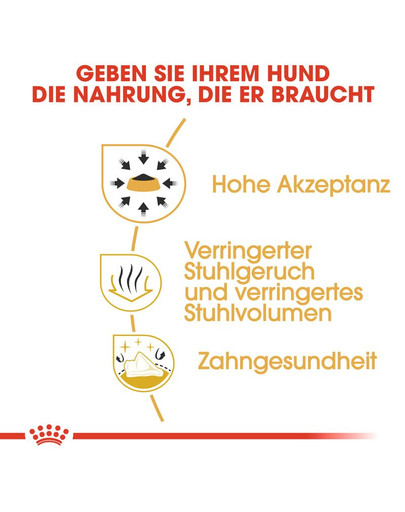 ROYAL CANIN Chihuahua Adult Hundefutter trocken 500 g