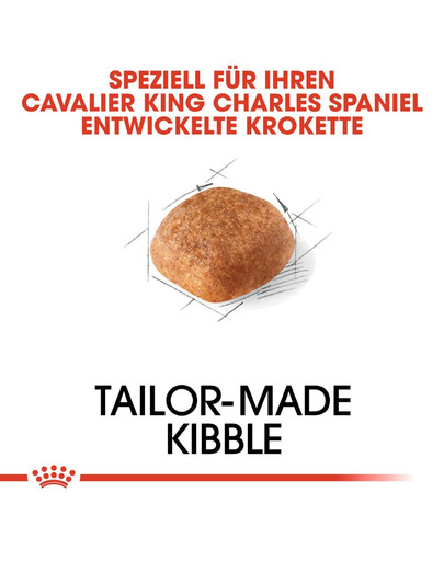 ROYAL CANIN Cavalier King Charles Adult Hundefutter trocken 1,5 kg