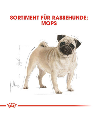 ROYAL CANIN Pug Adult Hundefutter trocken für Mops 1,5 kg