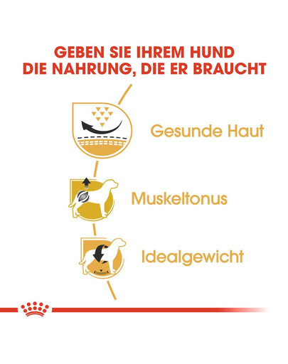 ROYAL CANIN Pug Adult Hundefutter trocken für Mops 1,5 kg