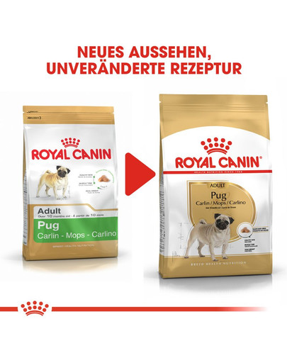 ROYAL CANIN Pug Adult Hundefutter trocken für Mops 1,5 kg