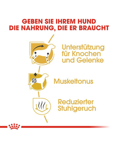 ROYAL CANIN Dachshund Adult Hundefutter trocken für Dackel 7,5 kg