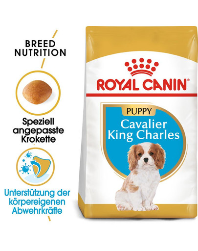 ROYAL CANIN Cavalier King Charles Puppy Welpenfutter trocken 1,5 kg