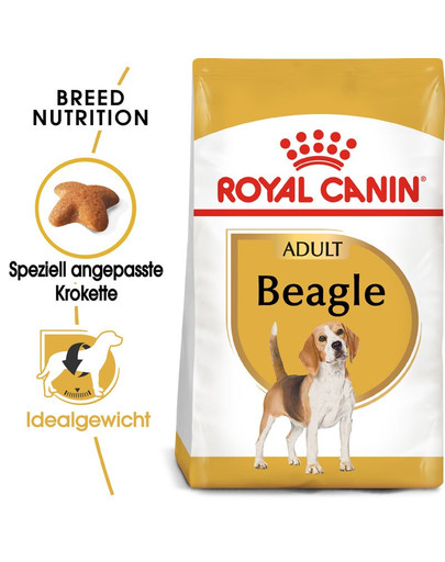 ROYAL CANIN Beagle Adult Hundefutter trocken 12 kg