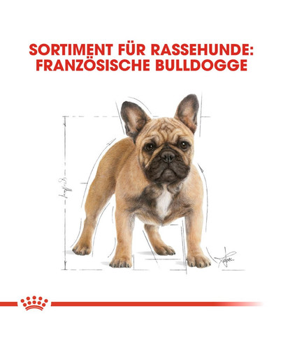 ROYAL CANIN French Bulldog Adult Hundefutter trocken für Französische Bulldoggen 9 kg