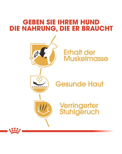 ROYAL CANIN French Bulldog Adult Hundefutter trocken für Französische Bulldoggen 9 kg