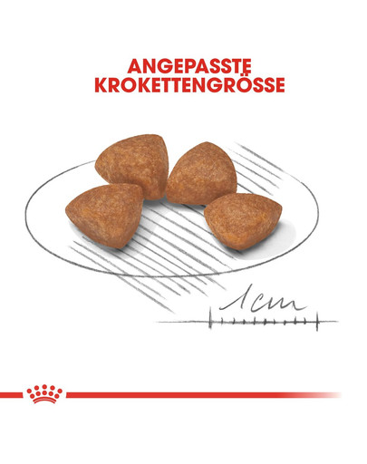 ROYAL CANIN X-SMALL Puppy Welpenfutter trocken für sehr kleine Hunde 500 g