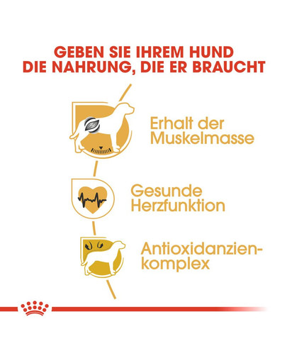 ROYAL CANIN Boxer Adult Hundefutter trocken 12 kg