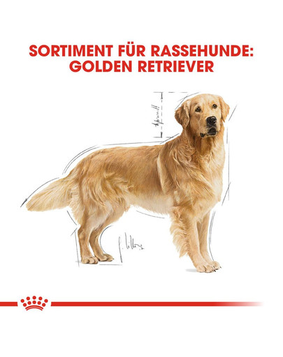 ROYAL CANIN Golden Retriever Adult Hundefutter trocken 12 kg