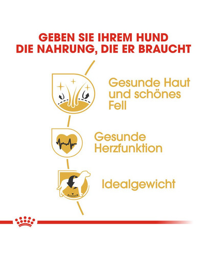 ROYAL CANIN Golden Retriever Adult Hundefutter trocken 12 kg