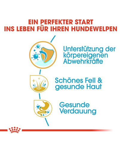 ROYAL CANIN Golden Retriever Puppy Welpenfutter trocken 1 kg