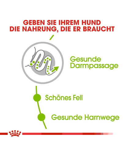 ROYAL CANIN X-SMALL Adult Trockenfutter für sehr kleine Hunde 3 kg