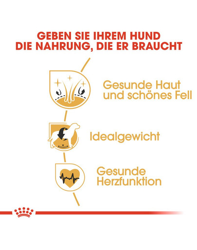 ROYAL CANIN Cocker Adult Hundefutter trocken 12 kg