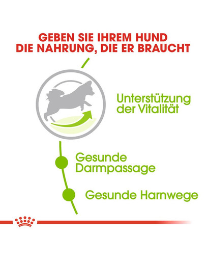 ROYAL CANIN X-SMALL Adult 8+ Trockenfutter für ältere sehr kleine Hunde 0.5 kg