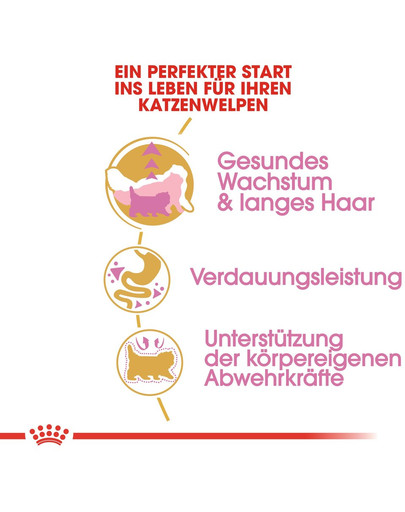 ROYAL CANIN Persian Kittenfutter trocken für Perser-Kätzchen 400 g